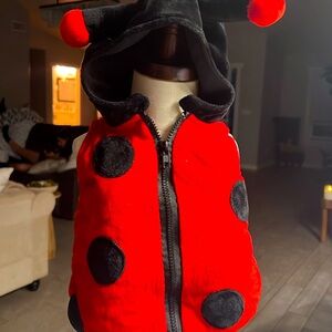 Lady 🐞 bug Halloween costume